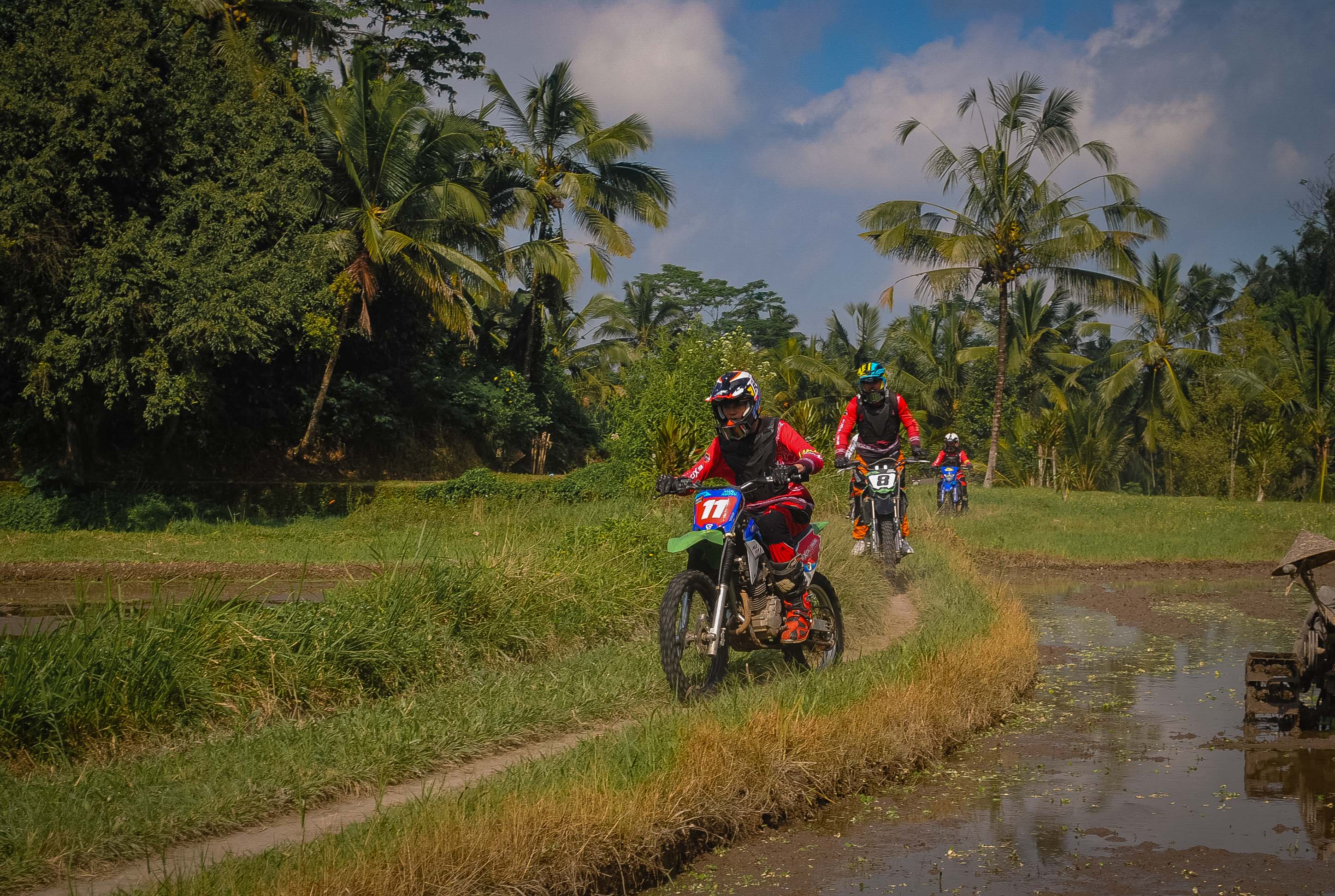Rice Field Track